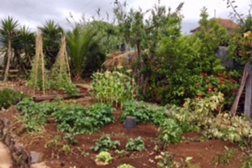 Klein-Norwegen - foto 19