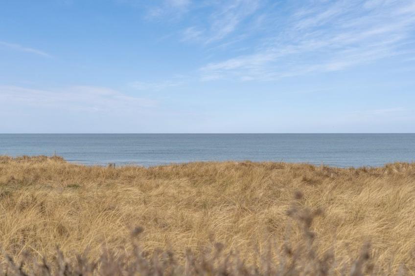 "Jace" - 75m from the sea in NW Jutland - foto 17
