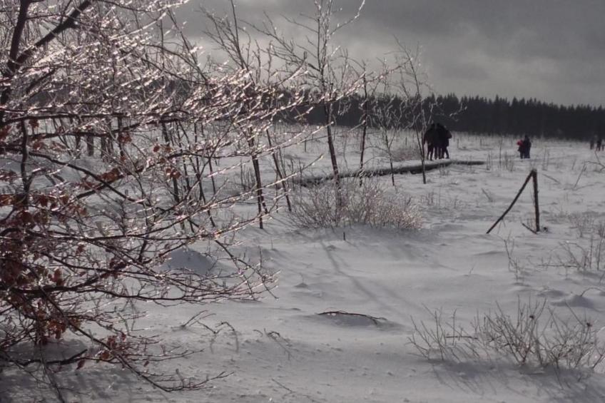 Exklusives Ferienhaus mit Terrasse und Garten - foto 28