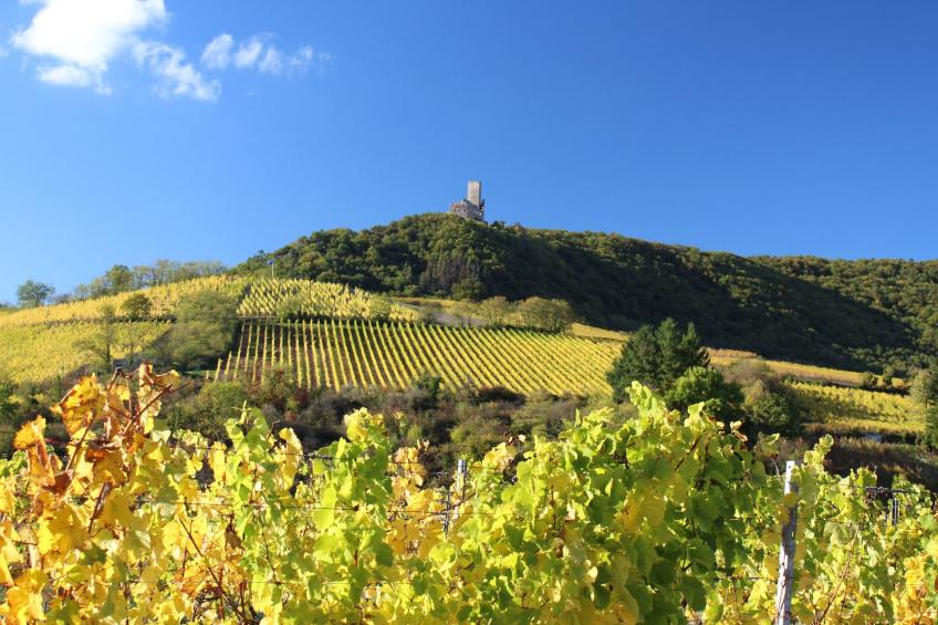 Ruhiges Ferienhaus mit Garten an der Weinstraße - foto 50