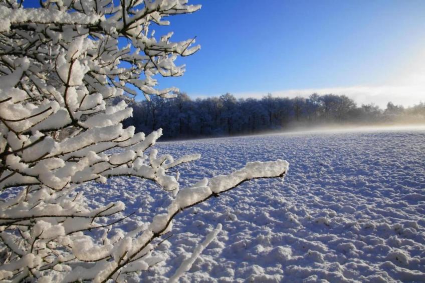 Residence De Eese 26 - foto 35