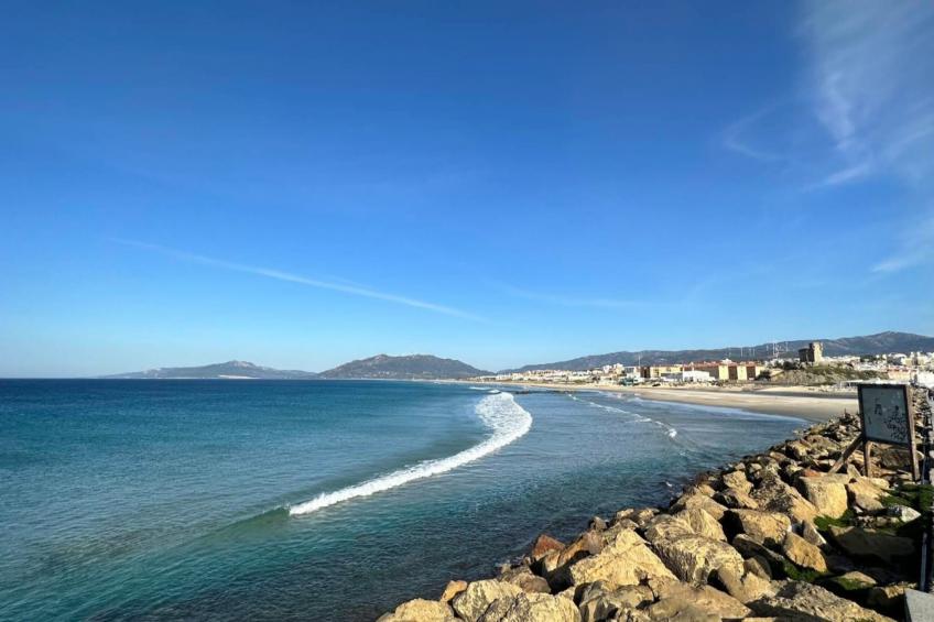 Villa Verde - foto 6