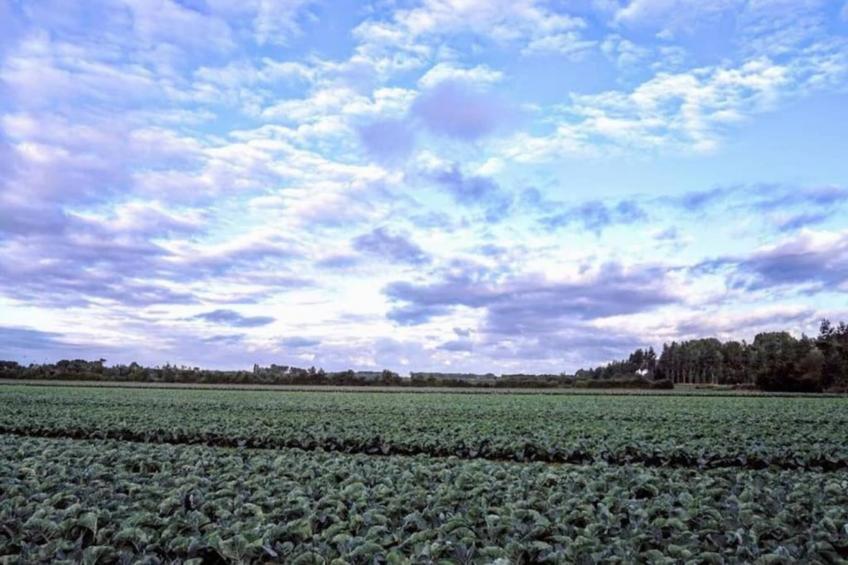 Kon Emmaweg 26 Vrouwenpolder 2p - foto 31