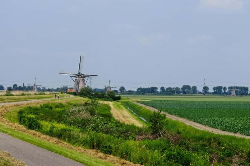 Gelijkvloerse vakantiewoning 6p huisje 57 - foto 40