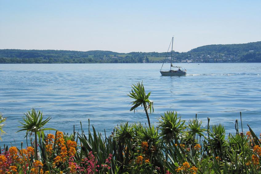 3-Zimmer-Fewo mit herrlichem Seeblick - foto 20