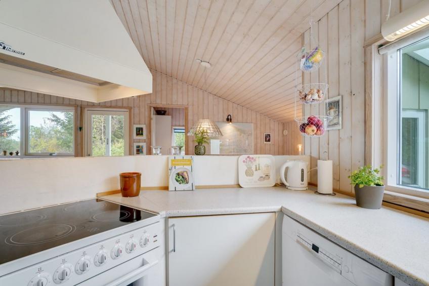 "Aameek" - 3km from the sea in NW Jutland - foto 19