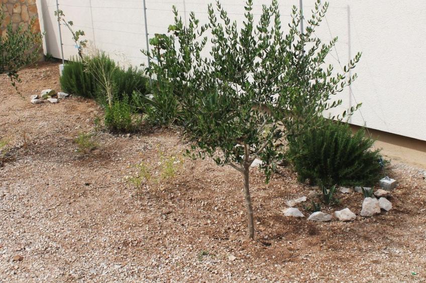 "Gubo2" mit Blick auf das Wasser - foto 18