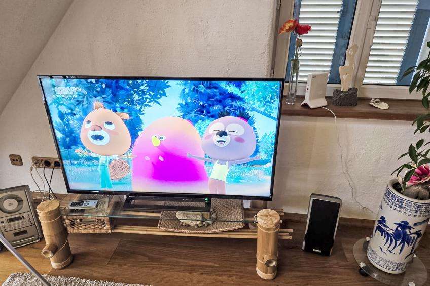 WohnungA mitPanorama - foto 9