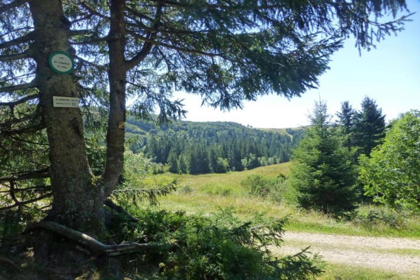 Le Chamois - foto 35