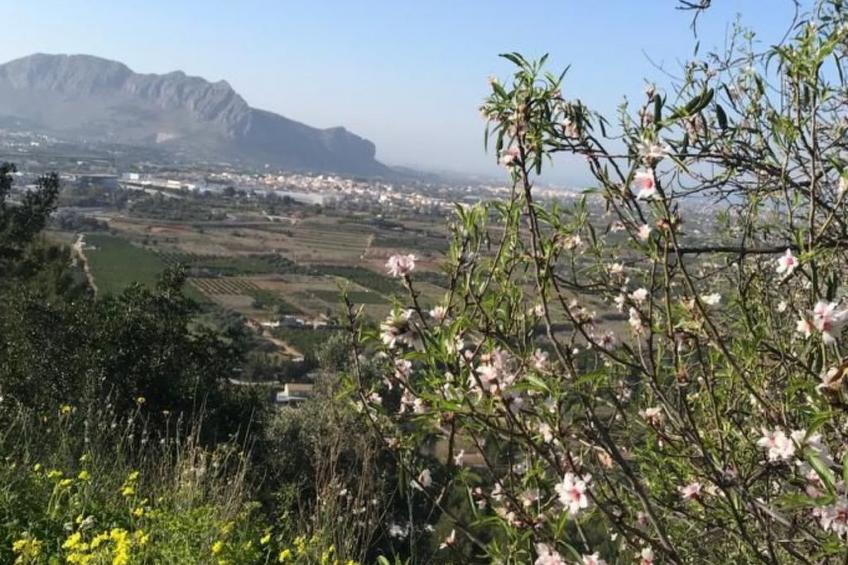 Villa SOL 32 - foto 47