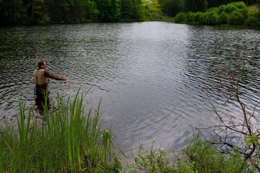 direkt am See gelegen - foto 19
