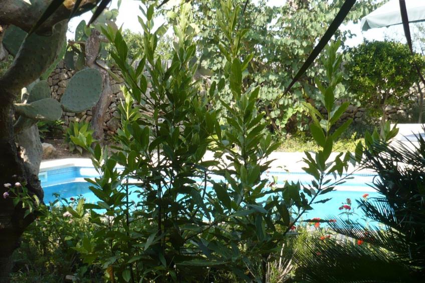 Finca "Son Pereto" mit privatem Pool - foto 38