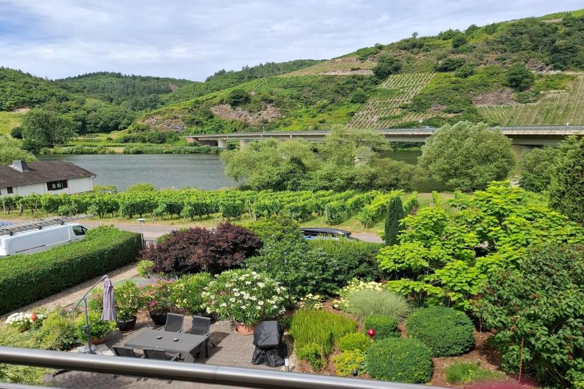 Ferienwohnung mit Moselblick - foto 39