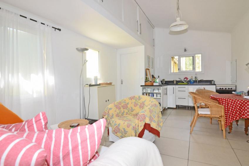 Die kleine Zikade - foto 14