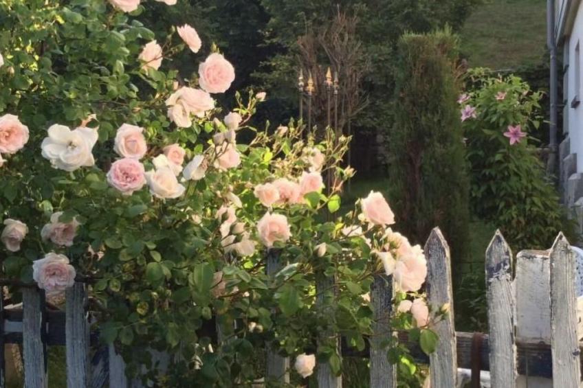 Kleines Loft - foto 11