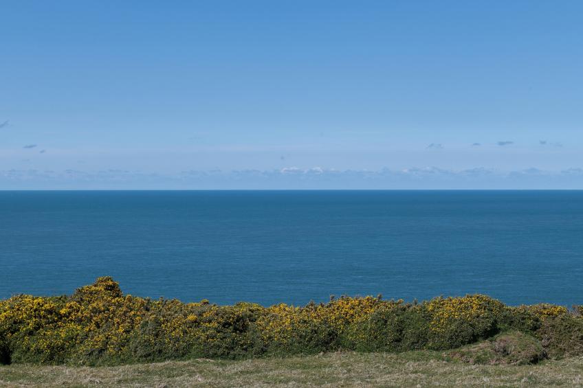 Bryn Du - foto 34