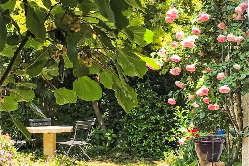Le Jardin - foto 34