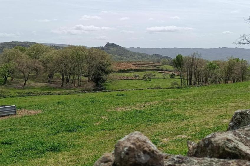Casa de Pueblo "Rodrigo" Sierra de Gata Cáceres - foto 36