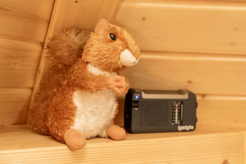 Birch Bothy - foto 10