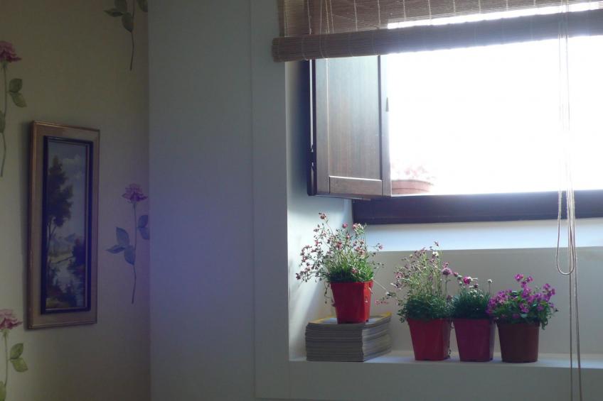 in einem kleinem Dorf nah dem Jakobweg - foto 16