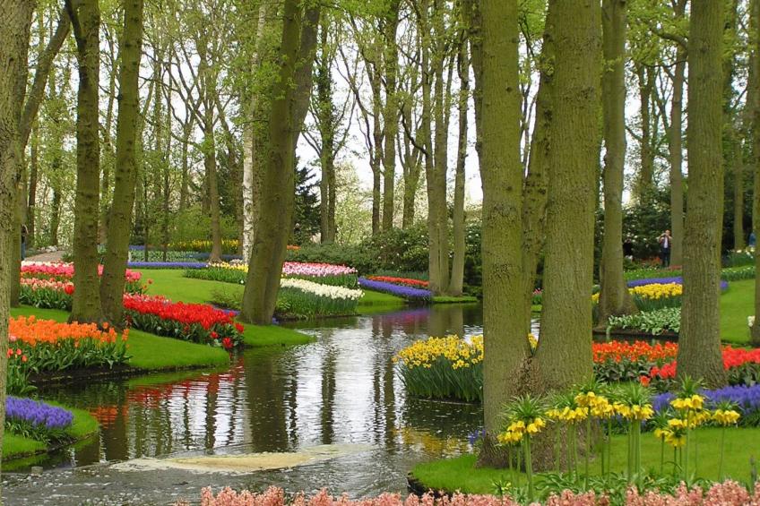 Aurora, Katwijk Zee - foto 48