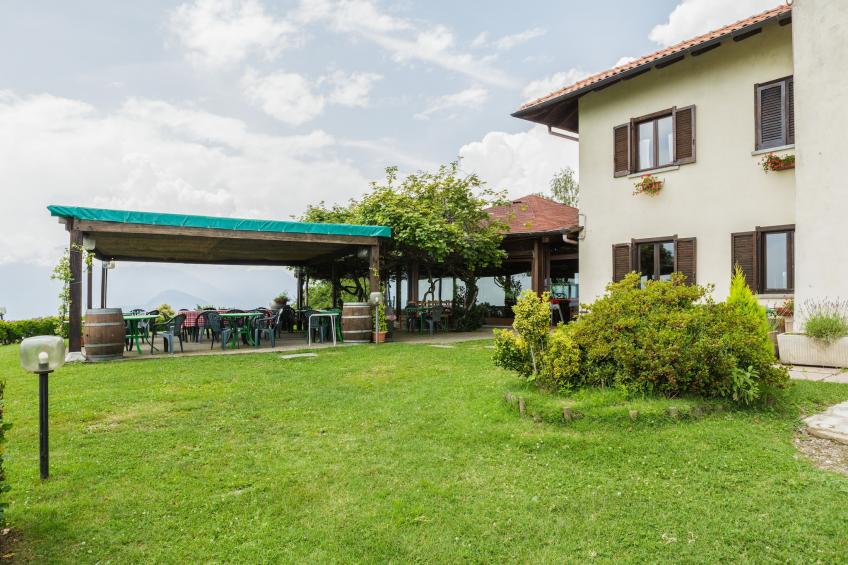 Rododendro - foto 25