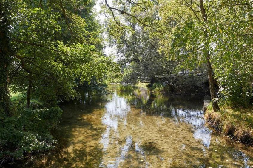 Bauernhof Elmiger - foto 23
