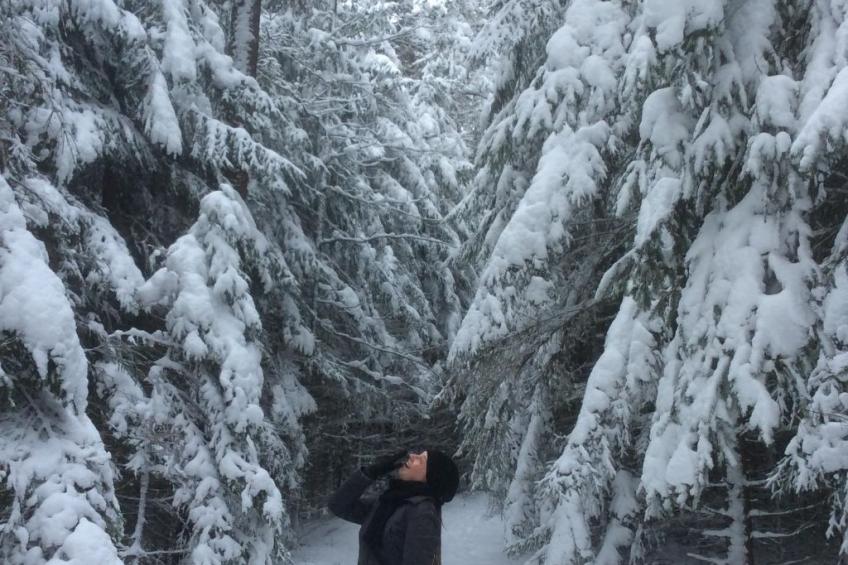 Finnisches Holzhaus - foto 41