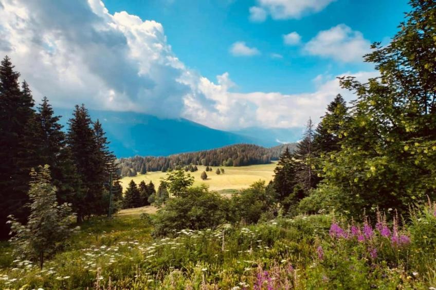 Les Marmottes N°311 - 2P6C - foto 19