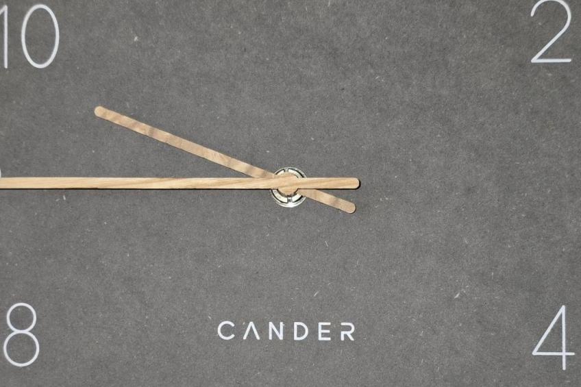 WALDLIEBE ♡ - foto 16