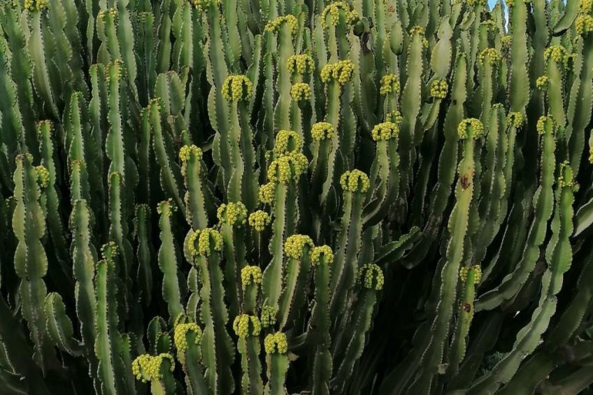 mit Whirlpool - foto 41