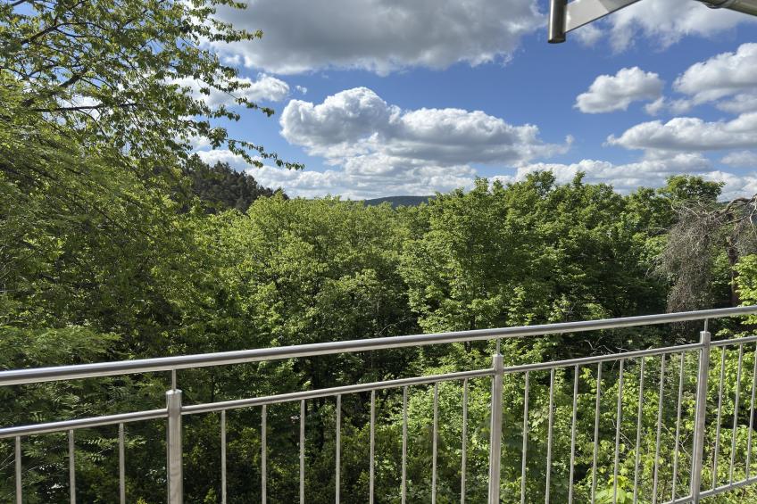 Holiday home Sackpfeifenblick, Hatzfeld - foto 36