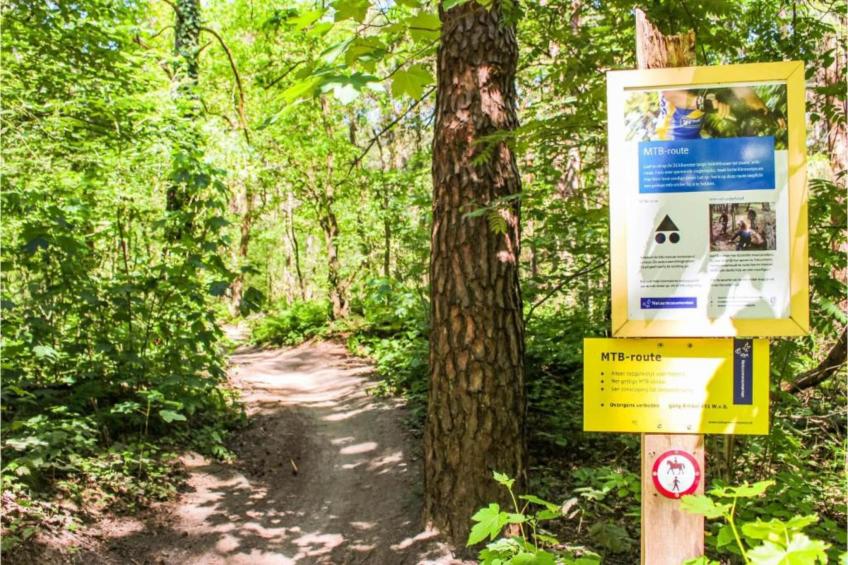 Recreatiepark Duinhoeve 15 - foto 31