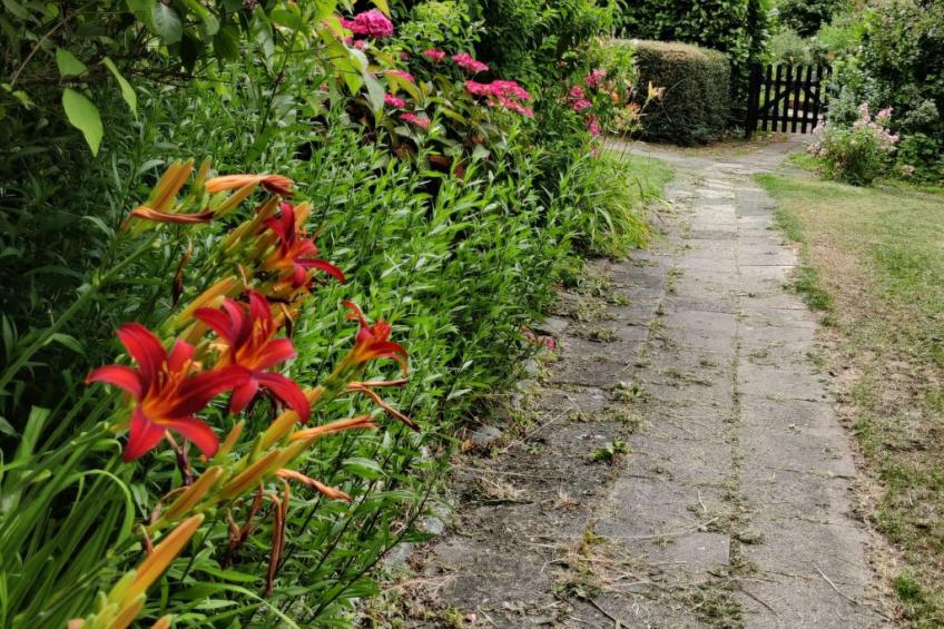 Appartement in Leeuwarden mit Privater Terrasse - foto 3