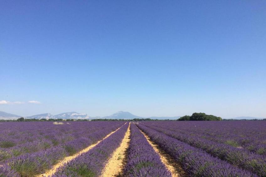 Résidence La Licorne de Haute-Provence 5 - foto 26