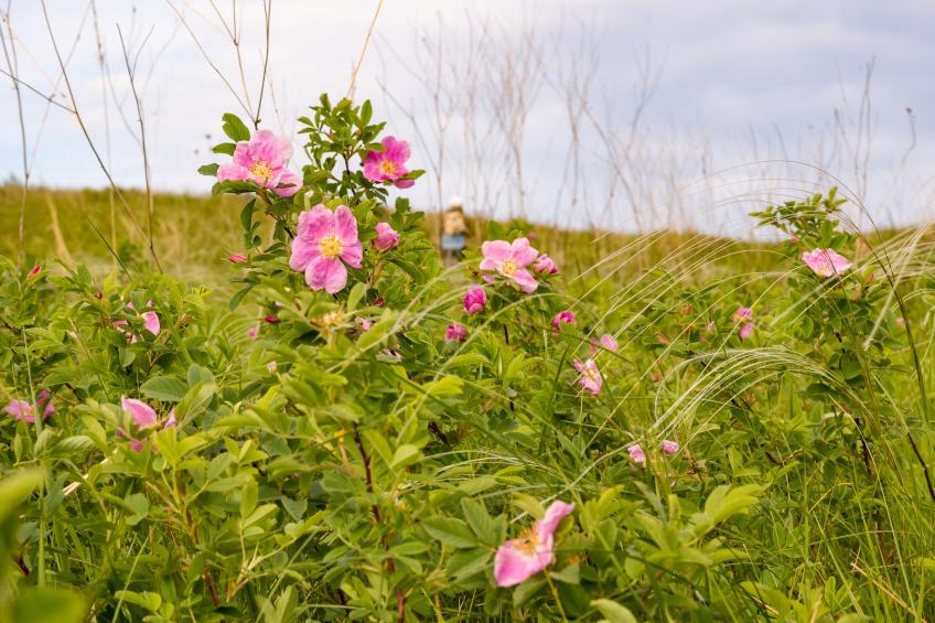 Studio 2P - Basic - foto 10