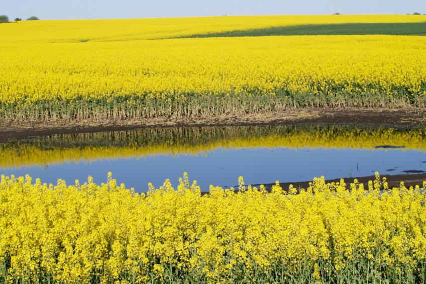 in idylischer Lage - foto 27