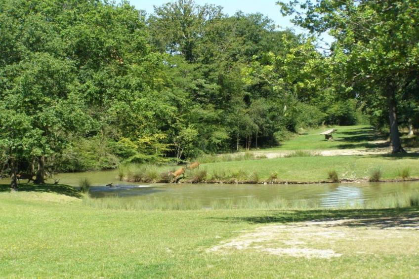 Maison de vacances - CHILLEURS-AUX-BOIS - foto 40