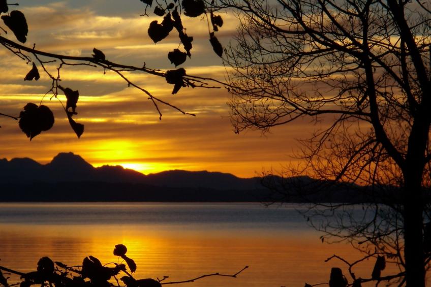 Betttis Bungalow - foto 27