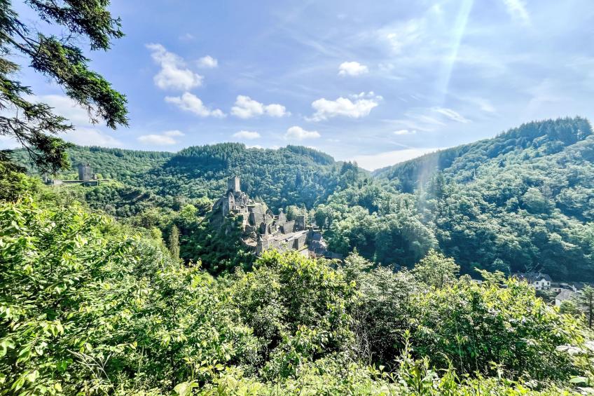 Gerberhaus - foto 42