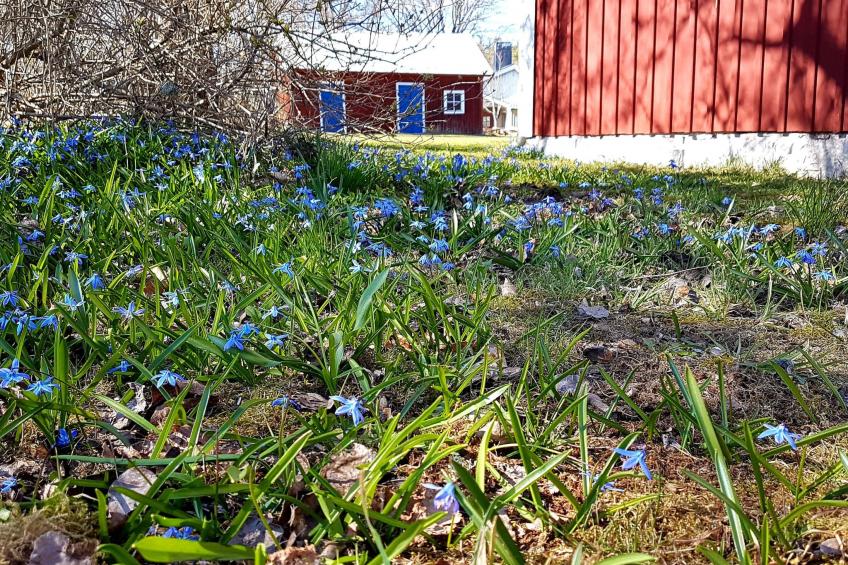 Särskilda - foto 23