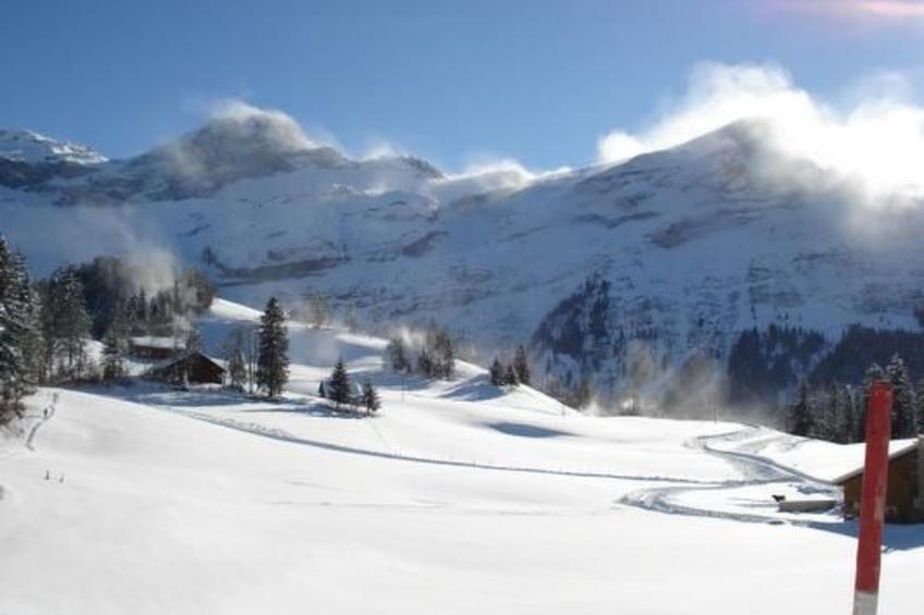 Ferien im grünen links - foto 5