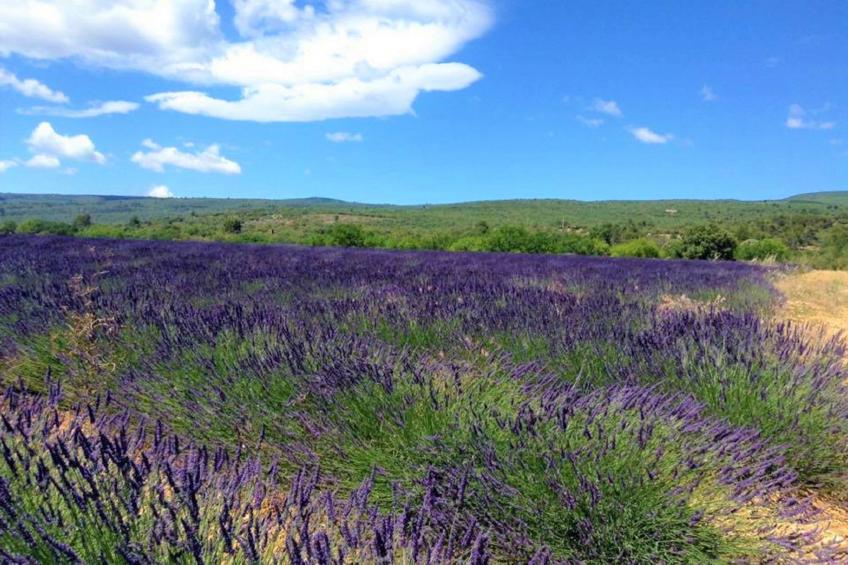 Ferienhaus - foto 23