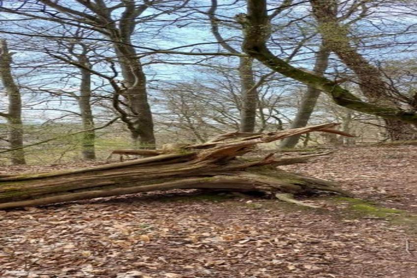 Am Ferienhof - foto 21