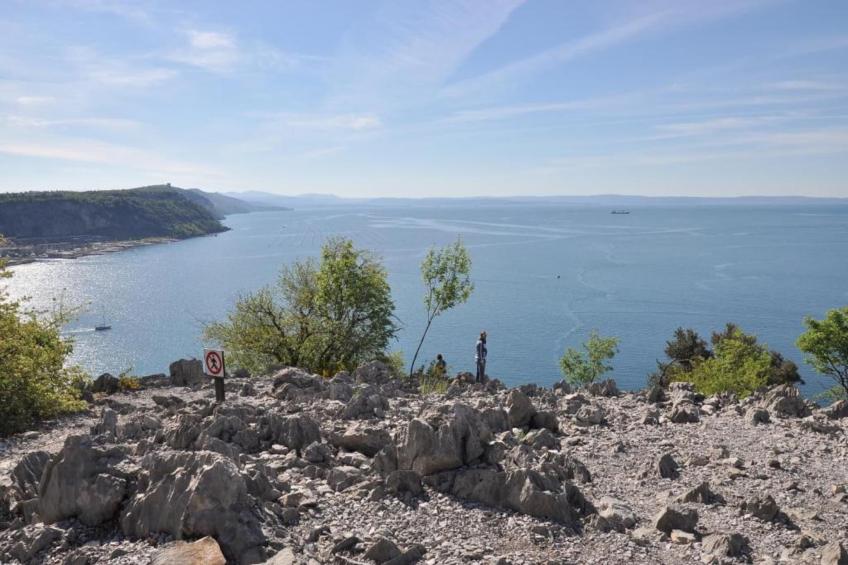 Les Balcons d'Auréa - foto 31