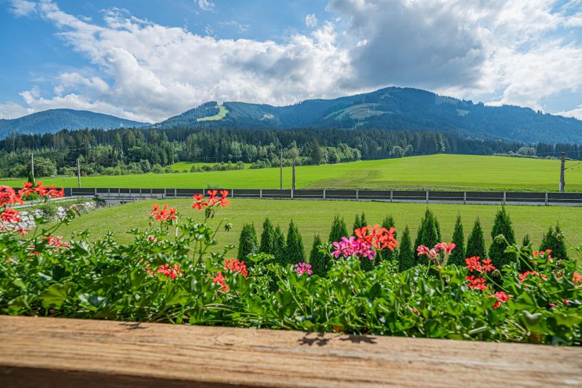 Apartments home Gamper, Brixen im Thale - Type C - foto 10