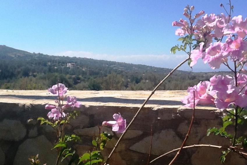 Villa Stefanos, Meerblick, privater Pool, Rethymno - foto 34