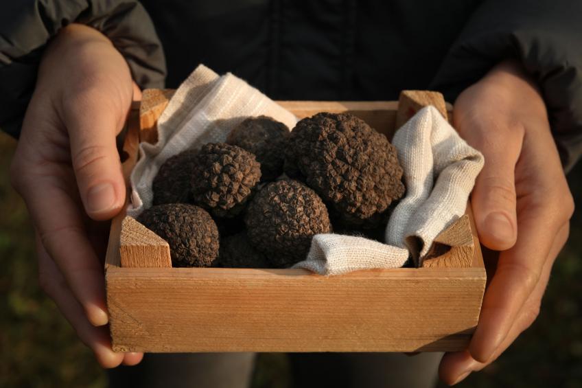 Istrien Traditionelles Steinhaus 5 - foto 58