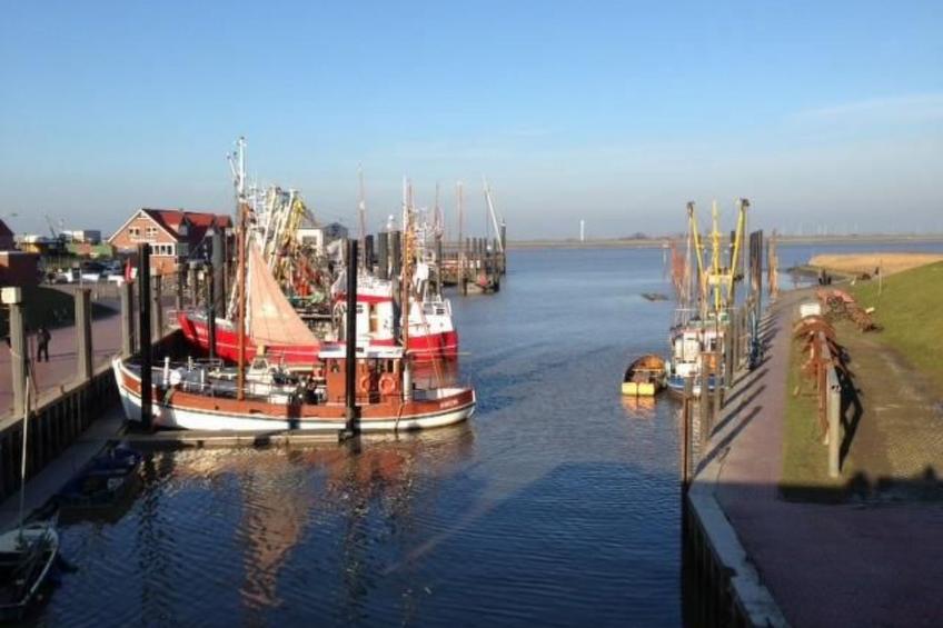 Mühlenblick - foto 24