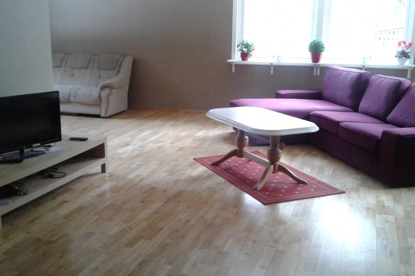 Villa Polarktis - foto 7